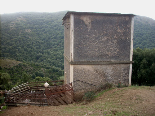 l'immagine ? descritta dal titolo e dal testo sottostante