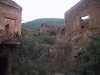 ingrandimento dell'immagine