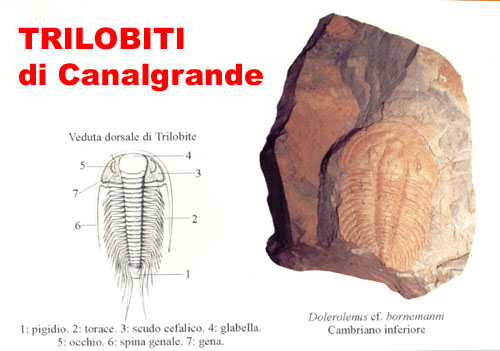 l'immagine ? descritta dal titolo e dal testo sottostante