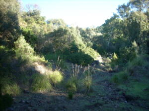 Area mineraria.
